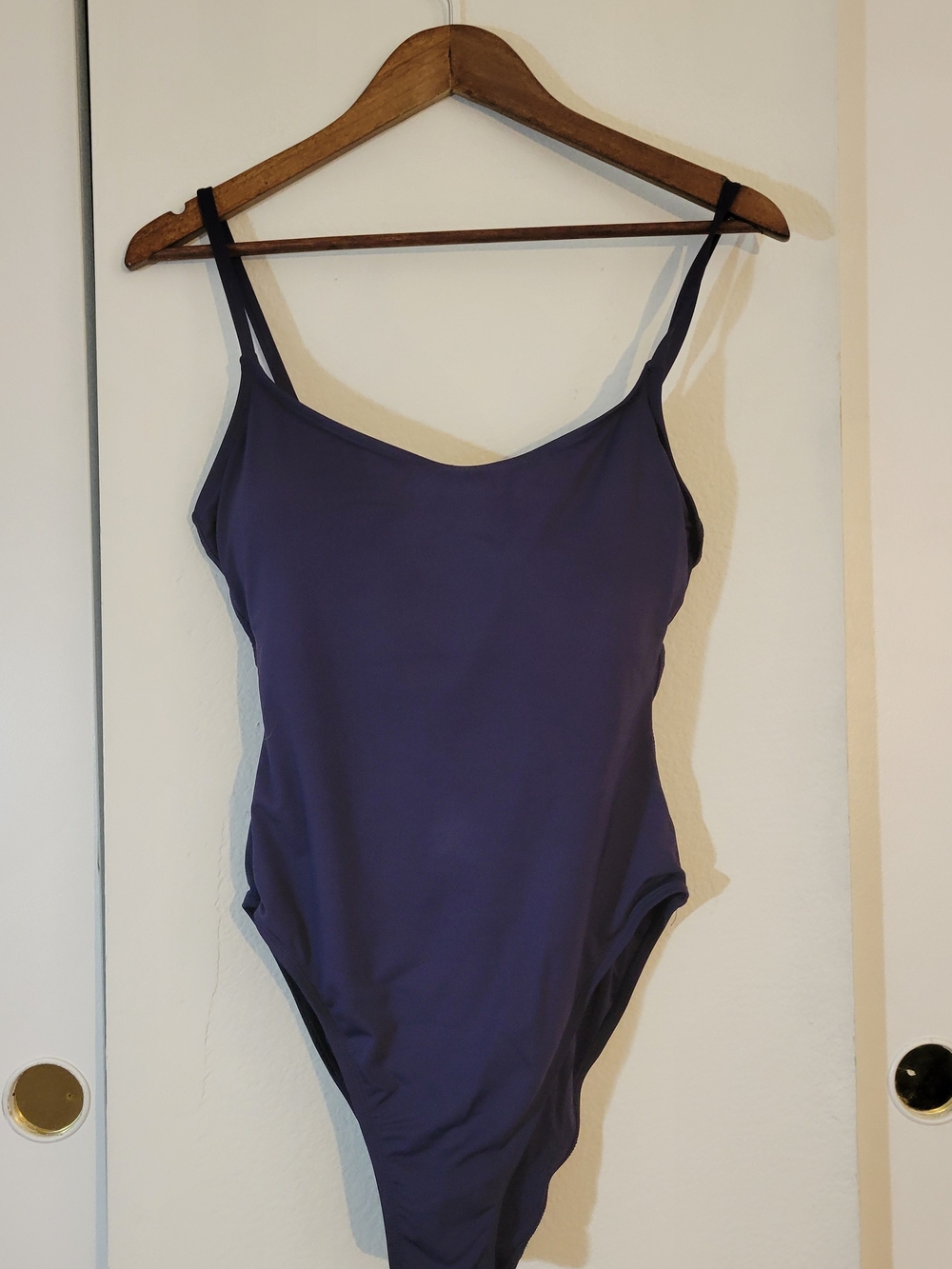 Andie Deep Purple One-Piece Swimsuit
